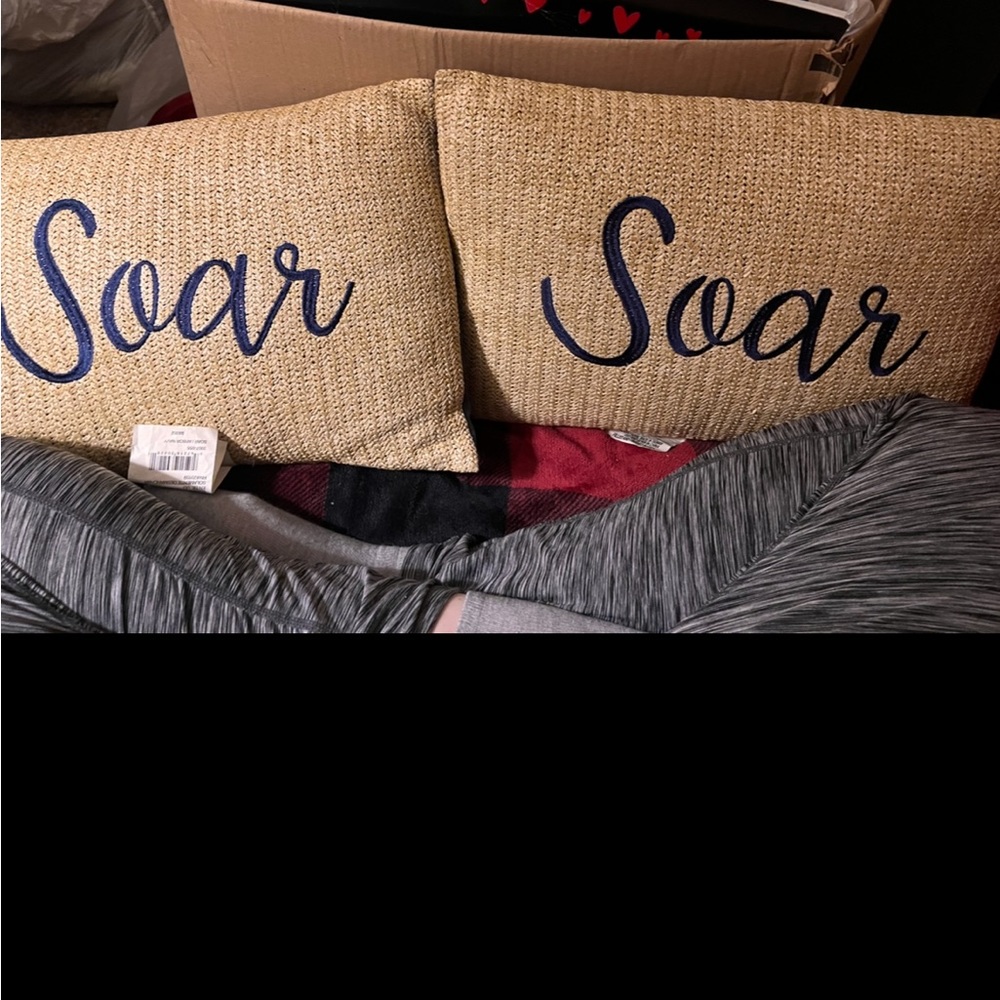 Set of 2 decorative throw pillows
